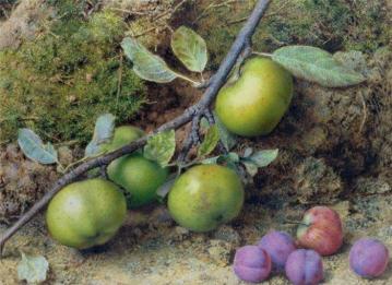 Apples And Plums On A Mossy Bank Artwork by John Sherrin