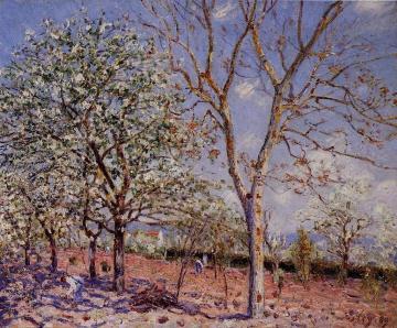 Plum and Walnut Trees in Spring Artwork by Alfred Sisley