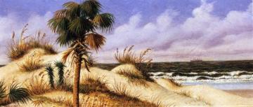 Florida Seascape With Sand Dune, Palm Tree, And Steamship Artwork by William Aiken Walker