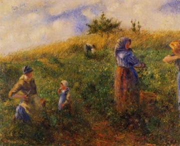 Picking Peas Artwork by Camille Pissarro