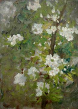White Blossom Artwork by Henry Scott Tuke