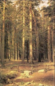 Ship Timber Grove Artwork by Ivan Ivanovich Shishkin