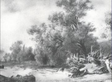 Oaklets Near Sestroretsk Artwork by Ivan Ivanovich Shishkin