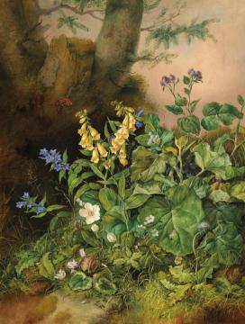 Woodland Flowers Artwork by Franz Xavier Petter