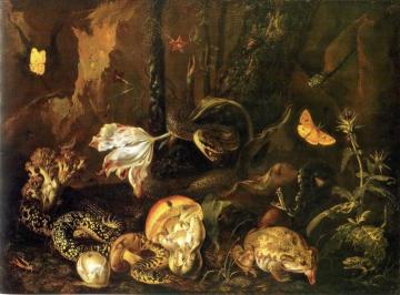 Still Life With Snakes, Frogs, Mushrooms, Flowers And Butterflies Artwork by Otto van Schrieck