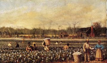 Cotton Picking In Front Of The Quarters Artwork by William Aiken Walker