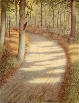 Woodpecker Artwork by Theodor Kittelsen
