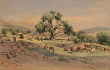 Abraham's Tree Near Hebron Artwork by Carl Friedrich Heinrich Werner