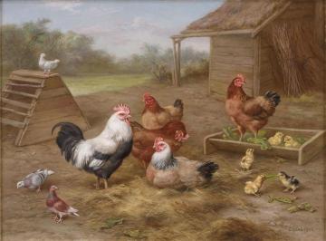 A Cockerel, Chickens And Doves Artwork by Edgar Hunt