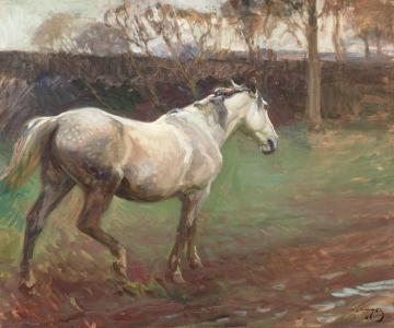 Irish Grey Mare Artwork by Sir Alfred James Munnings