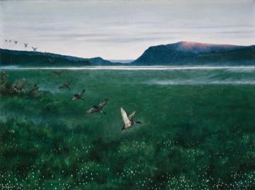 The Twelwe Wild Ducks Artwork by Theodor Kittelsen