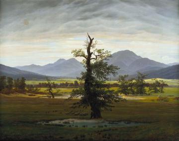Village Landscape In Morning Light(the Solitary Tree) Artwork by Caspar David Friedrich