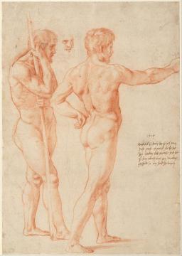 Nude Studies,1515 Artwork by Raphael