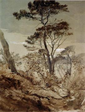 Stone Pines At Sestri Artwork by John Ruskin