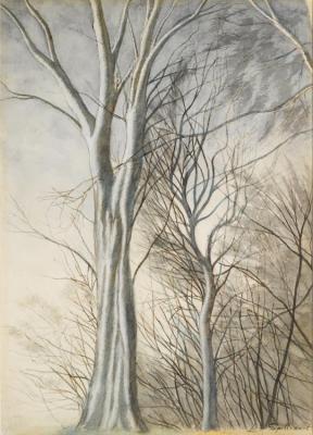 Les Arbres Artwork by Leon Spilliaert