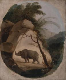 The Indian Rhinoceros Artwork by Thomas Daniell
