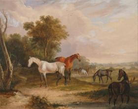 Horses Grazing,a Grey Stallion Grazing with Mares in a Meadow Artwork by Francis Calcraft Turner