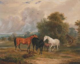 Horses Grazing,Mares and Foals in a Field Artwork by Francis Calcraft Turner