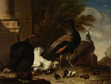 A Hen with Peacocks and a Turkey Artwork by Melchior de Hondecoetter