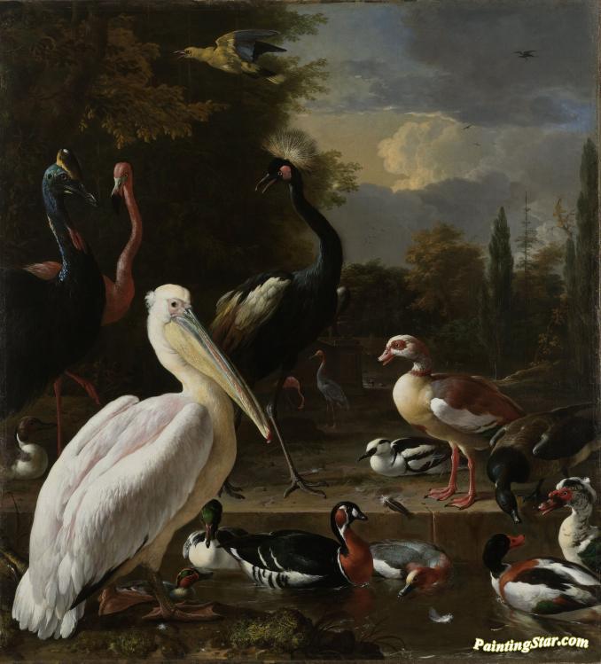 A Pelican and other Birds near a Pool, Known as The Floating Feather Artwork by Melchior de Hondecoetter