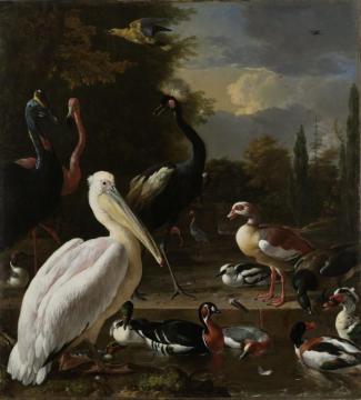 A Pelican and other Birds near a Pool, Known as The Floating Feather Artwork by Melchior de Hondecoetter