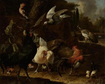 Vogels in een park Artwork by Melchior de Hondecoetter