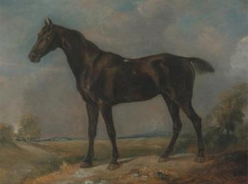 Golding Constable's Black Riding-Horse Artwork by John Constable
