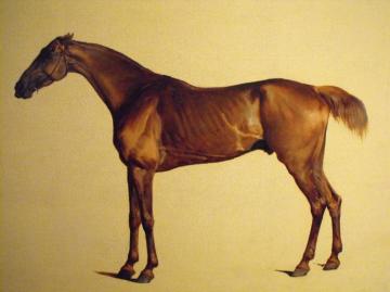 Rufus Artwork by George Stubbs