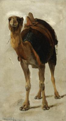 Camel Artwork by Theodoros Ralli
