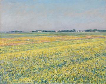 The Plain Of Gennevilliers,yellow Fields Artwork by Gustave Caillebotte