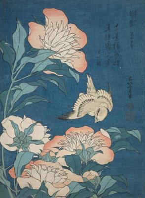 Peonies And Canary(shakuyaku, Kanaari),from An Untitled Series Known As Small Flowers Artwork by Katsushika Hokusai