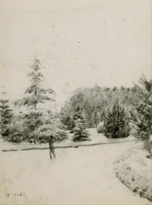 Study Of A Garden, Circa 1891 Artwork by Santiago Rusiñol Prats