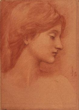 Study Of A Female Head Artwork by Sir Edward Burne Jones