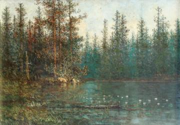 Woodland Pond Artwork by John Olson Hammerstad
