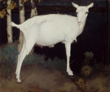 Young White Goat Artwork by Jan Mankes