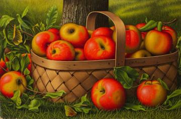 Apples In A Basket Artwork by Levi Wells Prentice