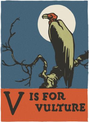 Alphabet - V Is For Vulture Artwork by C.b. Falls