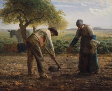 Potato Planters Artwork by Jean-François Millet