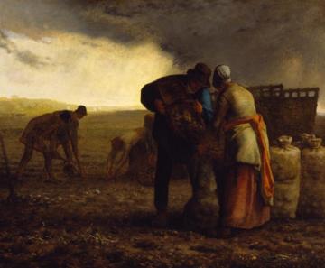 The Potato Harvest Artwork by Jean-François Millet