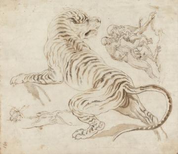 Study For A Tiger And Monkeys Artwork by James Northcote