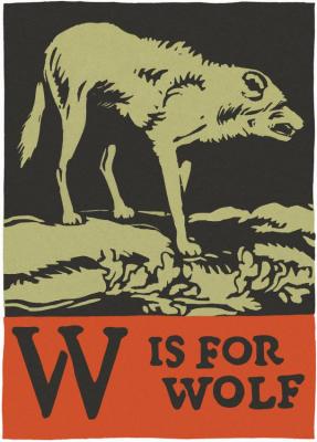 Alphabet - W Is For Wolf Artwork by C.b. Falls