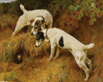 No One Home Artwork by Arthur Wardle