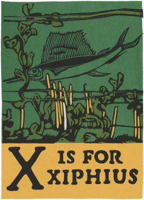 Alphabet - X Is For Xiphius Artwork by C.b. Falls