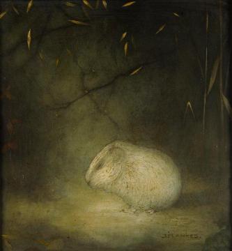 Marmot In Autumn Artwork by Jan Mankes