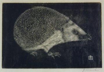 The Hedgehog Artwork by Jan Mankes