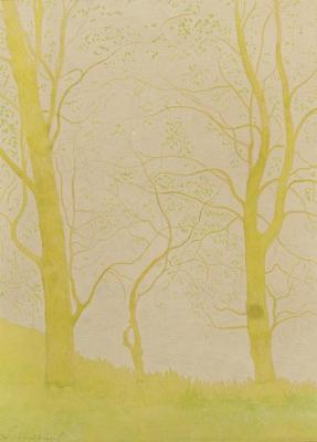 Bomen Bij De Vijver - Arbres Pres De L'etang Artwork by Leon Spilliaert