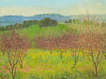 Peach Blossoms,saratoga,california,1921 Artwork by Theodore Wores