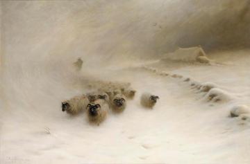 A Flock Of Sheep In A Snow Storm Artwork by Joseph Farquharson