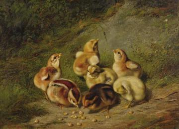 Baby Chicks Artwork by Arthur Fitzwilliam Tait