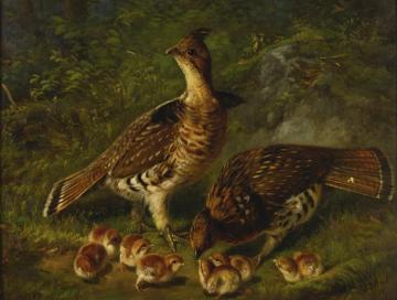 Pair Ruffed Grouse And Young Artwork by Arthur Fitzwilliam Tait
